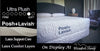 Refine All Latex Mattress By Posh + Lavish