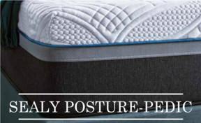 11" Firm PosturePedic Foam