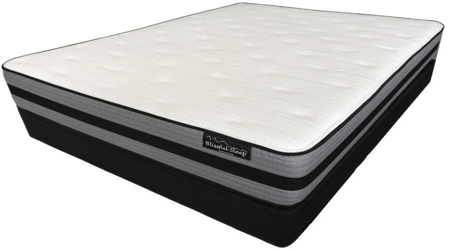 Traditionals 2.0 Hybrid Ready for delivery